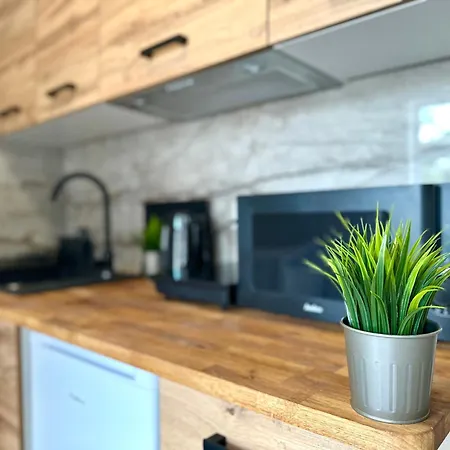Mmrent Geometry Homestay Gdansk